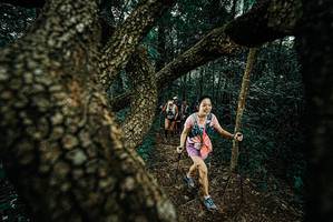 BIB: 
                            <button type="button" onclick="openModal(25695667)" class="btn btn-primary btn-sm float-right btn-popup" data-toggle="modal" data-target=".modal-high-quality">
                        <i class="fas fa-shopping-cart"></i> Add to Cart
                    </button>
                                            <button type="button" onclick="isThisMe(25695667, true)" class="btn btn-success btn-sm float-right btn-popup btn-isme hidden" data-toggle="tooltip" data-placement="bottom" title="นี่คือรูปของคุณใช่ไหม คลิกที่นี่เพื่อเอาเข้าอัลบั้ม">
                        <i class="fas fa-plus"></i> Add to album
                    </button>
                    <button type="button" onclick="isThisMe(25695667, false)" class="btn btn-warning btn-sm float-right btn-popup btn-isnotme hidden">
                        <i class="fas fa-ban"></i> Remove from album
                    </button>